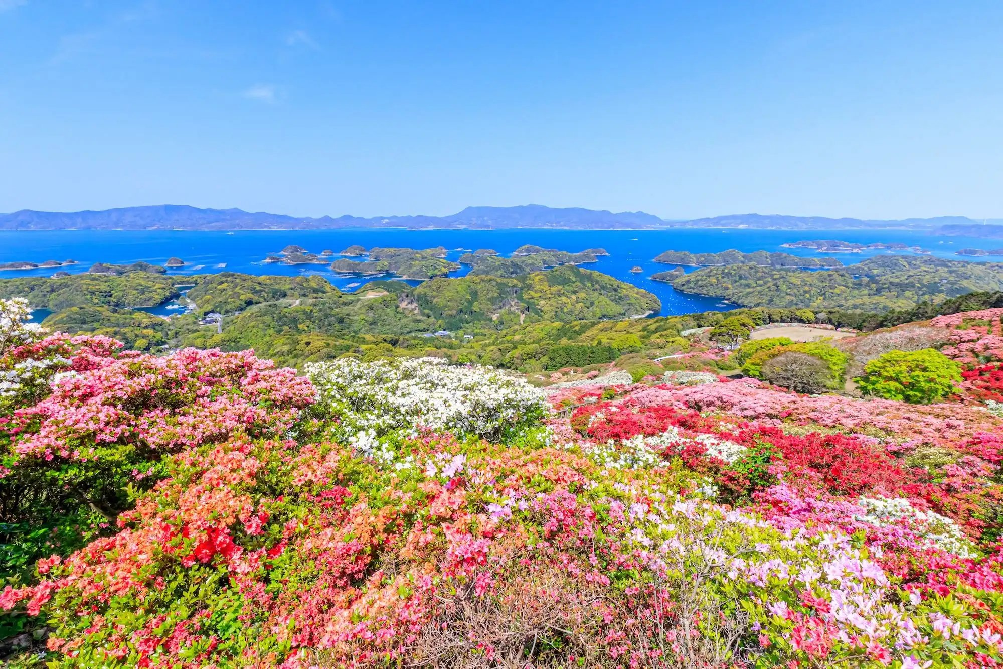 🏞️ 거울산 전망대(카가미야마 텐보다이) 이미지 10